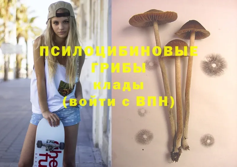 закладки  блэк спрут сайт  Псилоцибиновые грибы MAGIC MUSHROOMS  Курганинск 